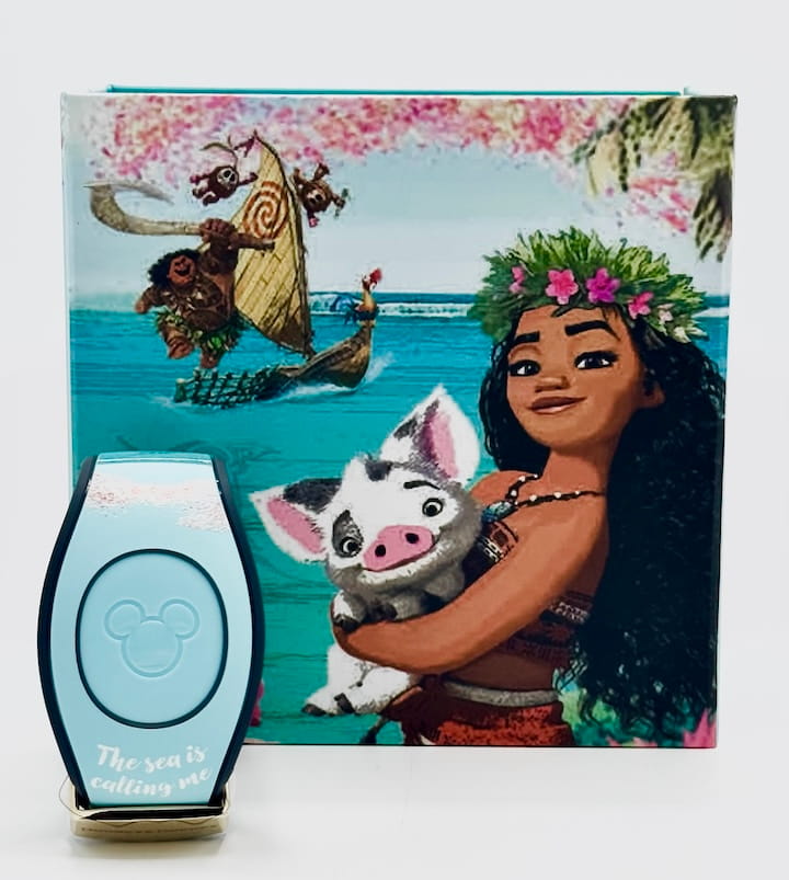 Disney Parks Dooney and Bourke Moana Magic Band Box And Band Front Full View