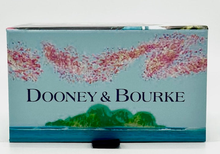 Disney Parks Dooney and Bourke Moana Magic Band Box Left Side