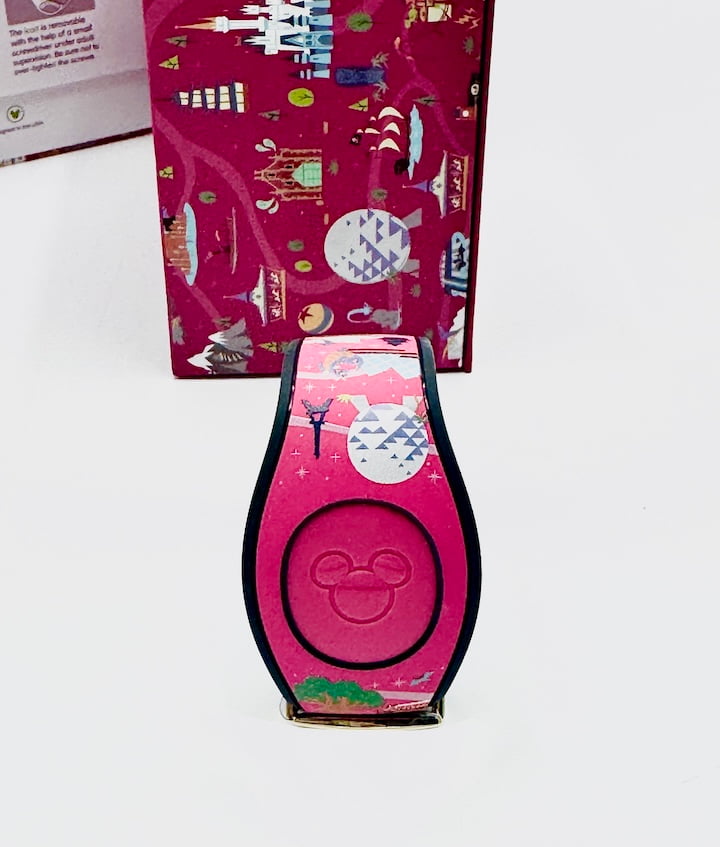 Disney Parks Dooney and Bourke Park Life Magic Band Front 