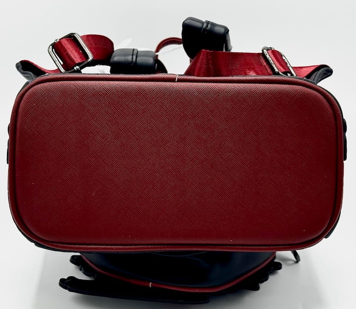 Loungefly Dark Romance Mini Backpack Books A Million Roses Skull Bag Base